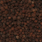 Allspice